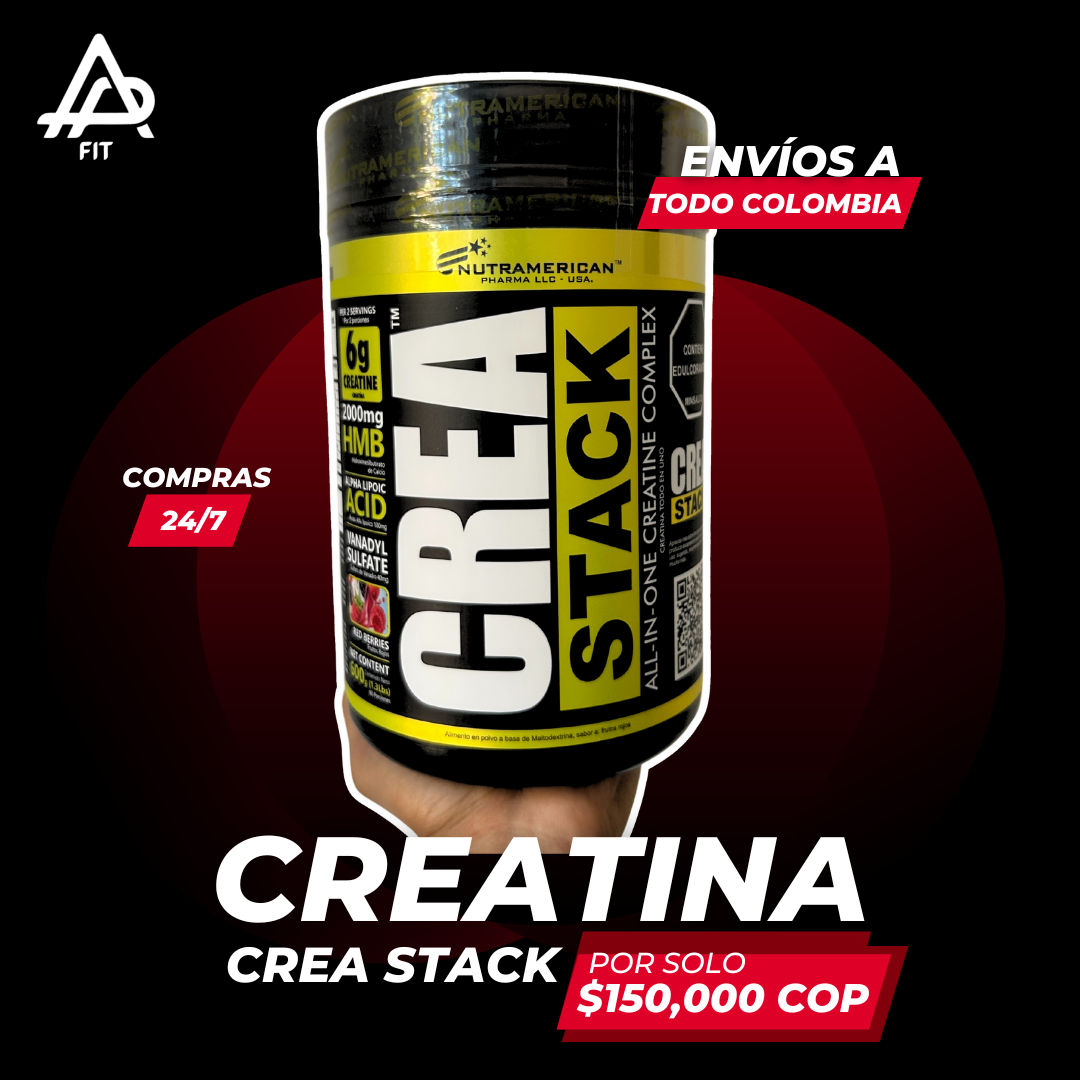 DISEÑOS – SITIO WEB AP FIT (19)